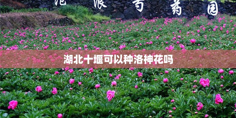 管件标准尺寸大全？