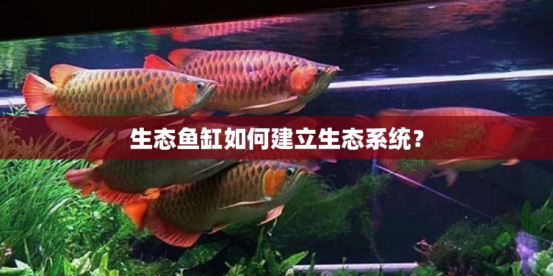 奇花异草有哪些