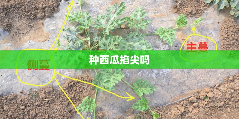 安徽医科大学学报的投稿须知