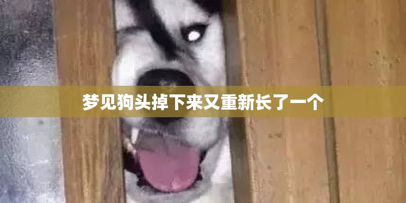 梦见狗头掉下来又重新长了一个 梦见狗头掉下来又重新长了一个