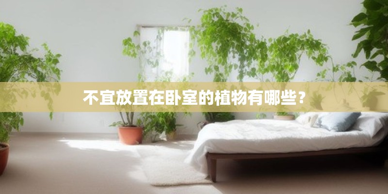 不宜放置在卧室的植物有哪些？