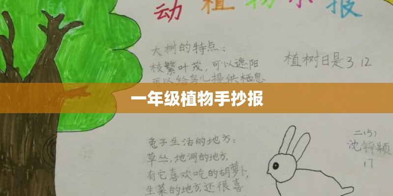 一年级植物手抄报