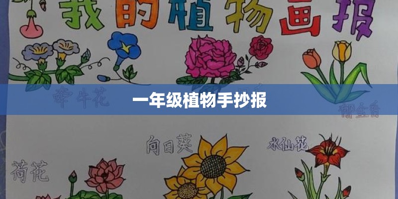 一年级植物手抄报