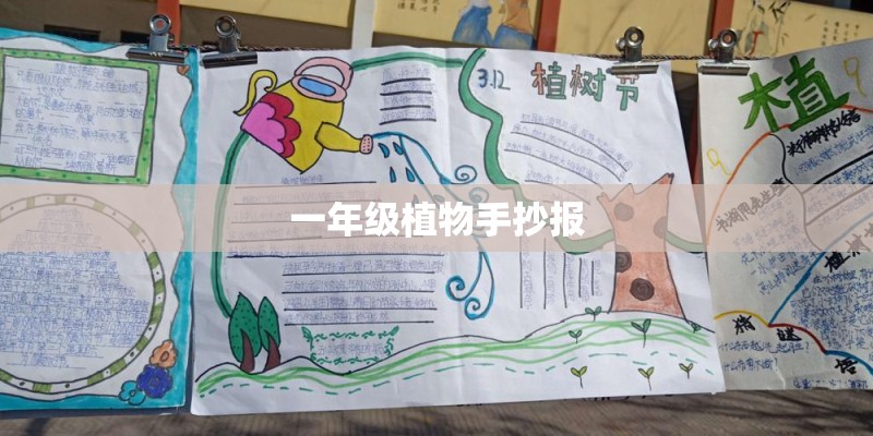 一年级植物手抄报