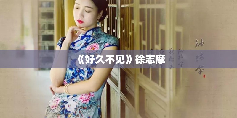 《好久不见》徐志摩