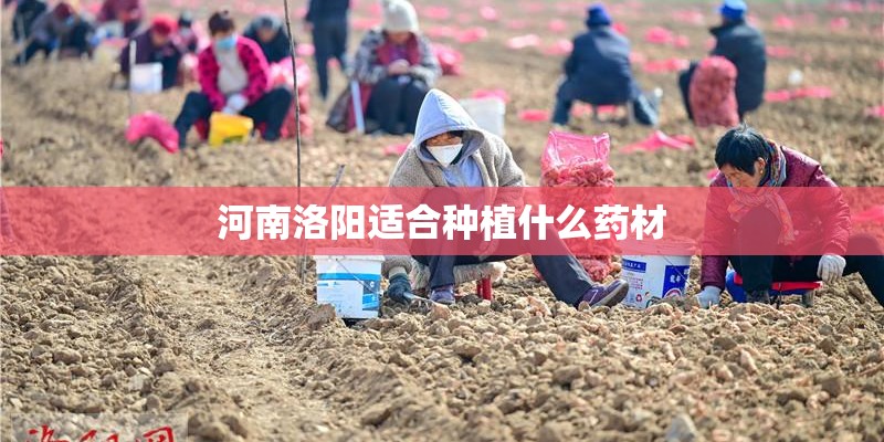 莫斯科人2141对比斯柯达