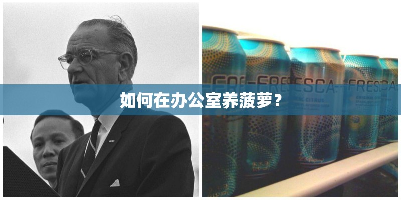 如何在办公室养菠萝？