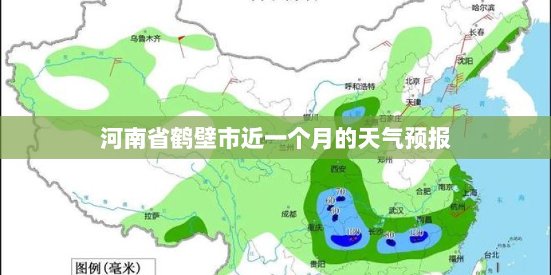 竹子的养殖方法