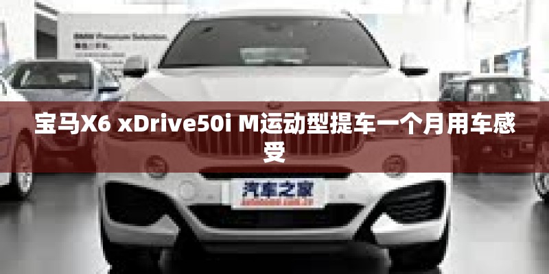 宝马X6 xDrive50i M运动型提车一个月用车感受
