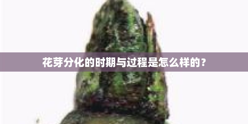 花芽分化的时期与过程是怎么样的？