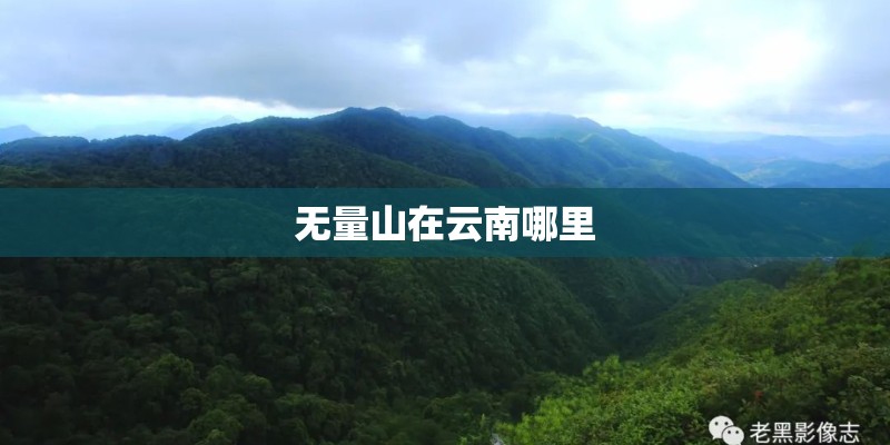 无量山在云南哪里
