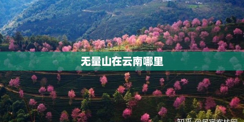 无量山在云南哪里