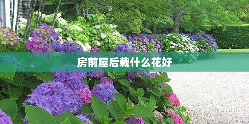 房前屋后栽什么花好