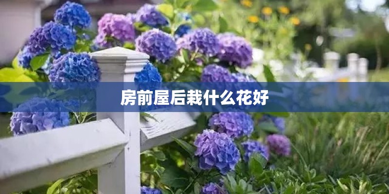 房前屋后栽什么花好