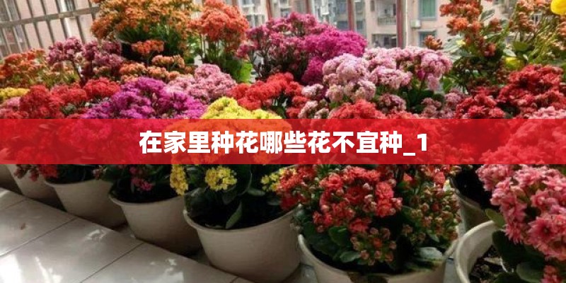 在家里种花哪些花不宜种_1