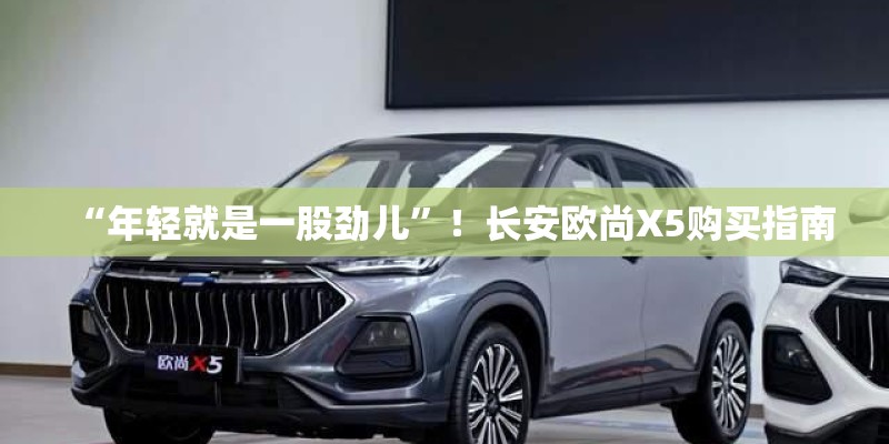 “年轻就是一股劲儿”！长安欧尚X5购买指南