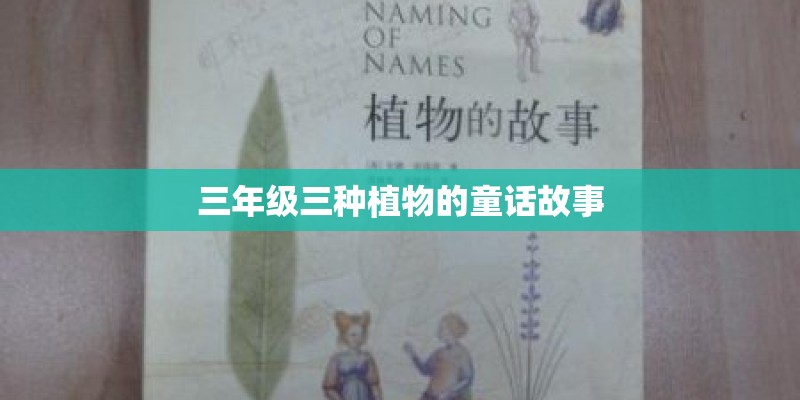 三年级三种植物的童话故事