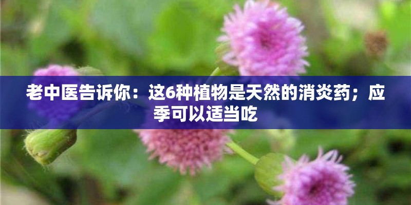老中医告诉你：这6种植物是天然的消炎药；应季可以适当吃