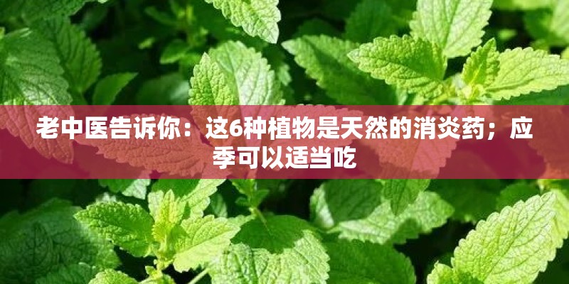 老中医告诉你：这6种植物是天然的消炎药；应季可以适当吃