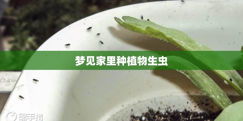 梦见家里种植物生虫