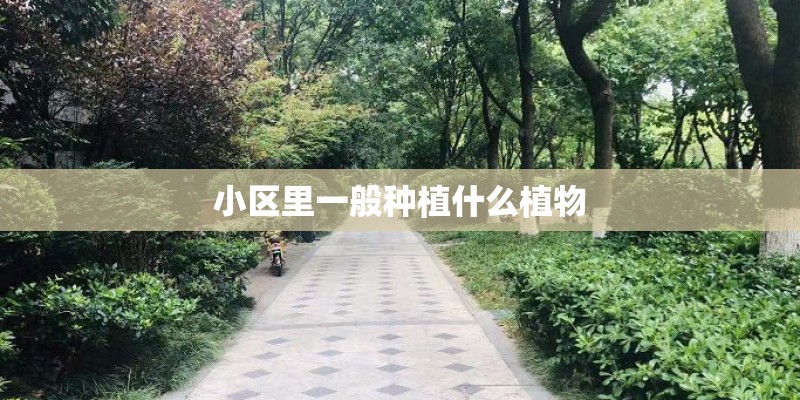 小区里一般种植什么植物
