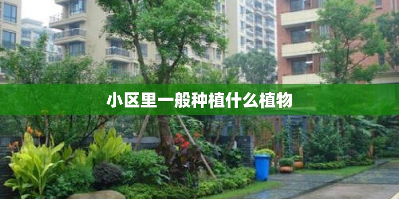 小区里一般种植什么植物