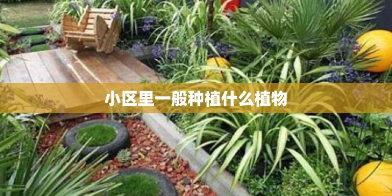 小区里一般种植什么植物