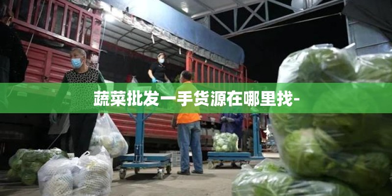 蔬菜批发一手货源在哪里找-