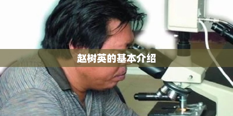 蔬菜批发一手货源在哪里找-