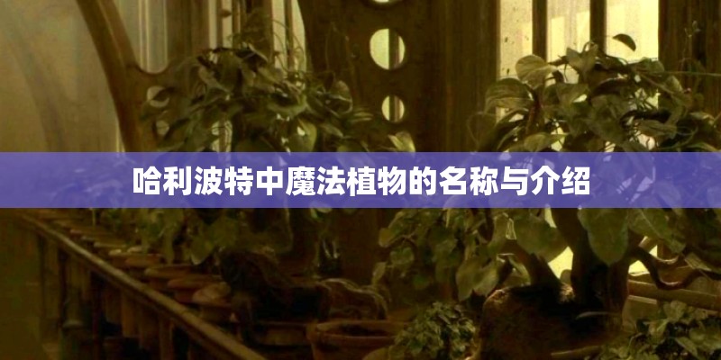 哈利波特中魔法植物的名称与介绍