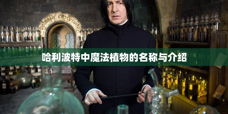 哈利波特中魔法植物的名称与介绍