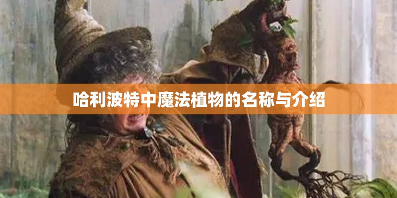 哈利波特中魔法植物的名称与介绍