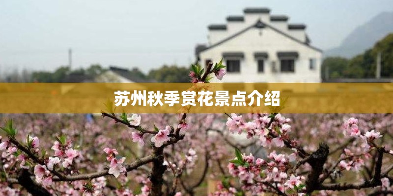 苏州秋季赏花景点介绍