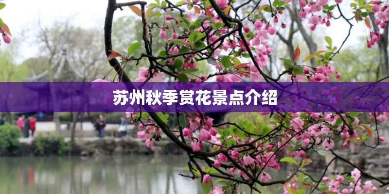 苏州秋季赏花景点介绍