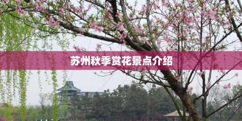 苏州秋季赏花景点介绍