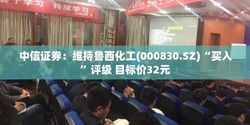 中信证券：维持鲁西化工(000830.SZ)“买入”评级 目标价32元