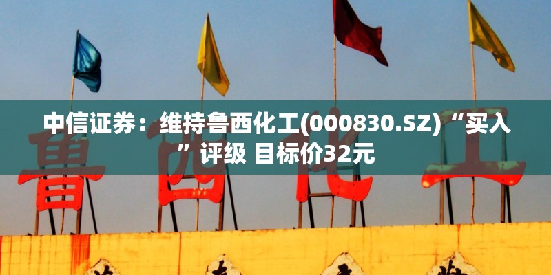中信证券：维持鲁西化工(000830.SZ)“买入”评级 目标价32元