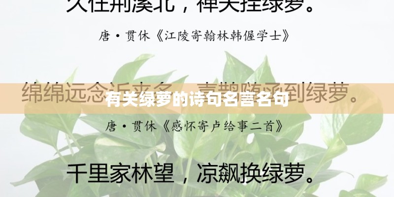 广西医科大学简介及详细资料
