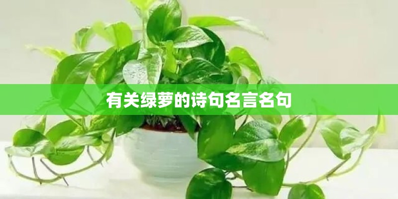 有关绿萝的诗句名言名句