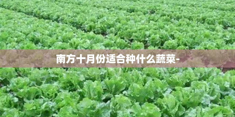 南方十月份适合种什么蔬菜-