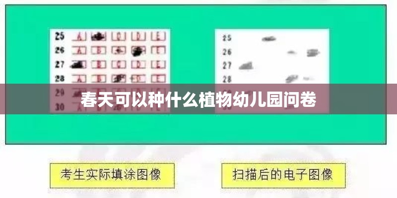 春天可以种什么植物幼儿园问卷