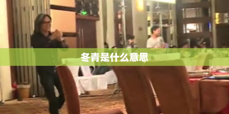 冬青是什么意思