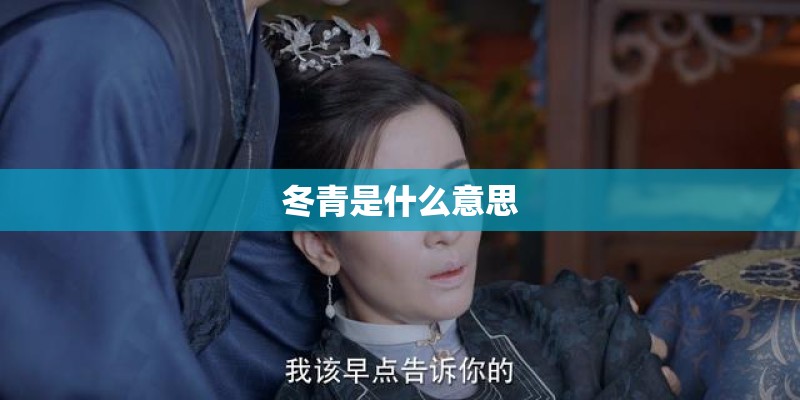 冬青是什么意思