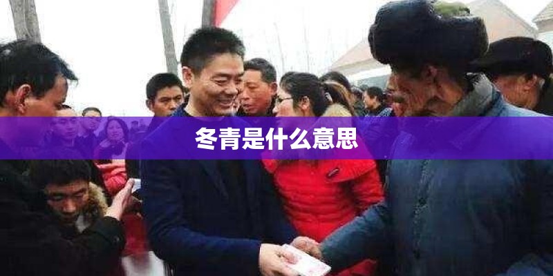 冬青是什么意思