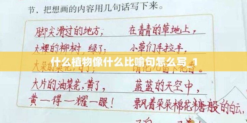 上海外服地址