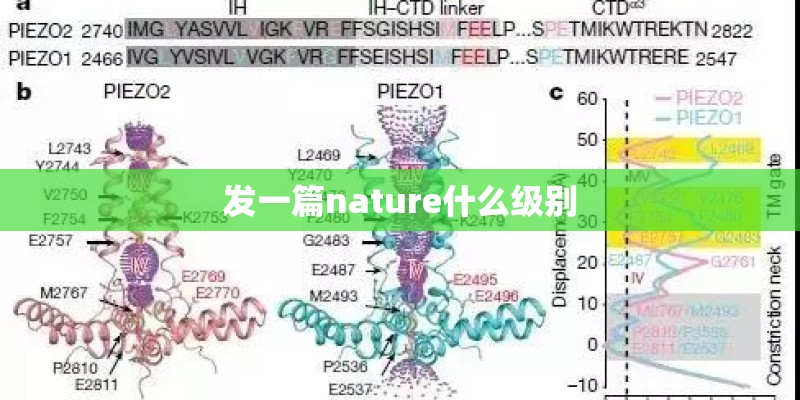 发一篇nature什么级别