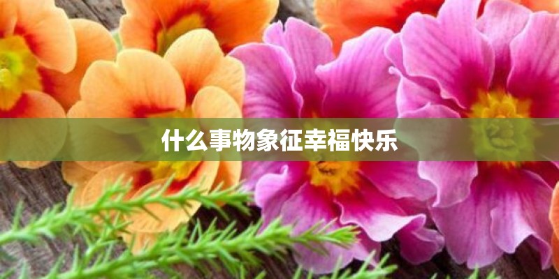 什么事物象征幸福快乐