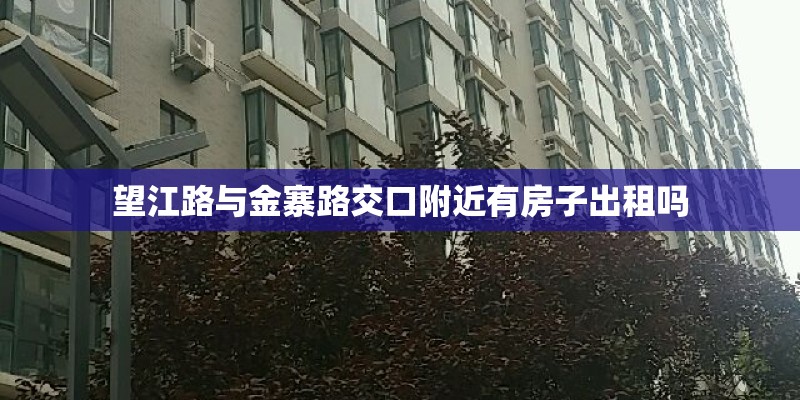 望江路与金寨路交口附近有房子出租吗