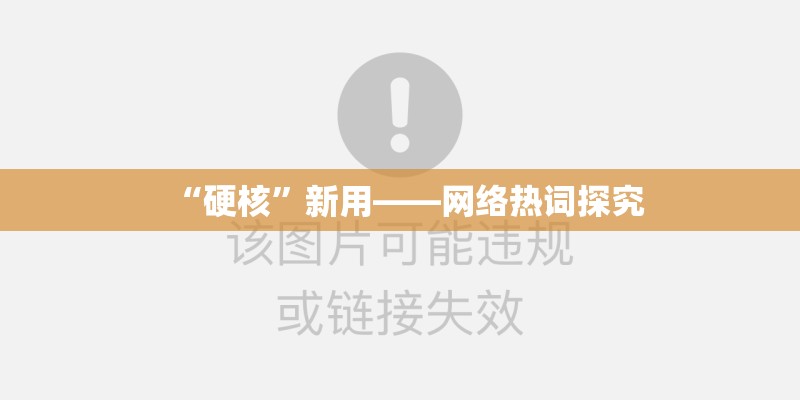 “硬核”新用——网络热词探究