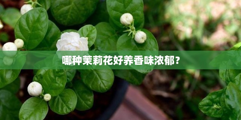 经济类十大期刊